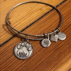 Alex and Ani bracelet